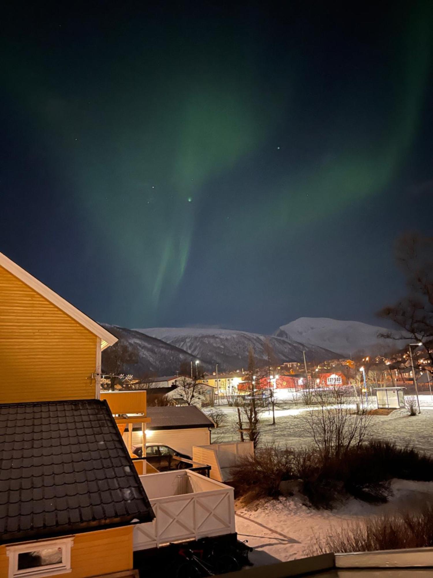 Luxury Apartment Vip Northern Lights Trip Tromsø Eksteriør billede